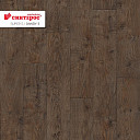 Линолеум Tarkett Супер С DANDY 3  | FLOORDEALER